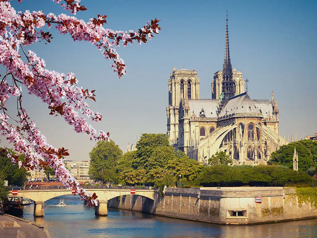 Notre Dame Paris Ile Cite Spring