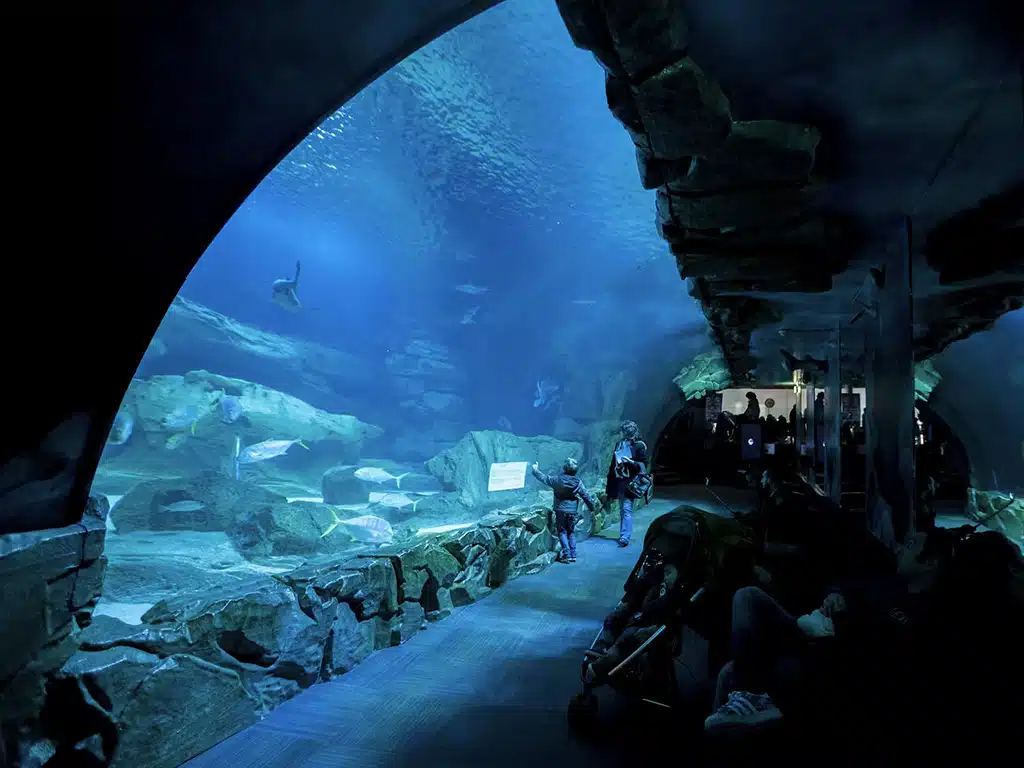 aquarium de paris france